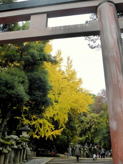 日本の神を覗く旅路・第1部記紀の神々続・晩秋の大和路02祭神は国譲り交渉の主役たち・春日大社その1表参道・昼と夜