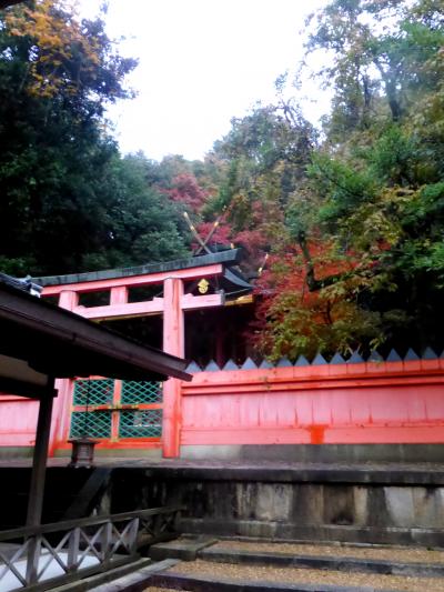 日本の神を覗く旅路・第1部記紀の神々続・晩秋の大和路04祭神は国譲り交渉の主役たち・春日大社その3回廊外周の景観と若宮神社