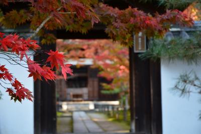 京田辺　一休寺（酬恩庵）の紅葉！2014年