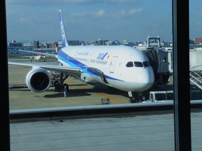 2014年11月　ブラジル　福岡→羽田