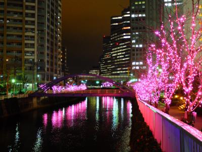 冬の桜咲く目黒川