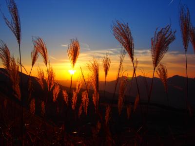 夕陽に染まる曽爾高原
