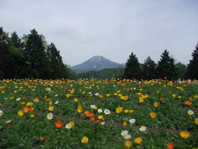 鳥取どうでしょ！　花回廊編