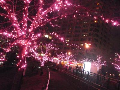 目黒川みんなのイルミネーション @目黒川 (大崎周辺) 桜の名所は冬も凄い　(*ﾟДﾟ*)ｪ…!!  