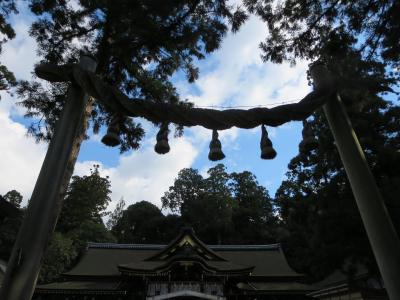 母・弟と行く大神神社☆でっかい門松にはしゃぐのだ～ヽ(^o^)丿