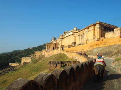 インドゴールデントライアングル【後編　象に乗ってアンベール城観光】