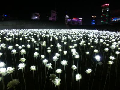 自由に過ごすソウル