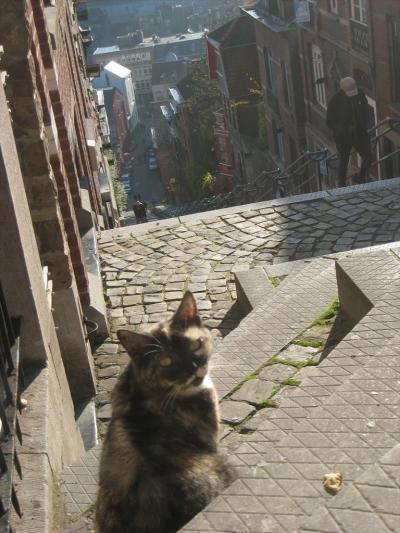 猫と階段の街リエージュ