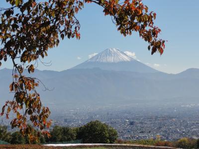 サントリー山梨ワイナリーへ