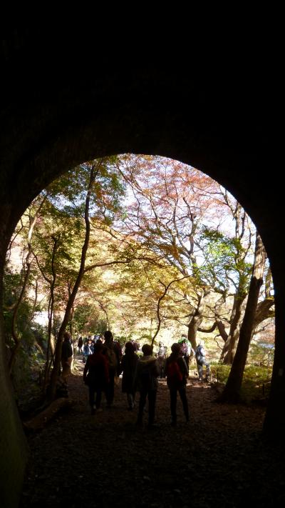 2014年秋『愛岐トンネル群と定光寺に行ってきました』