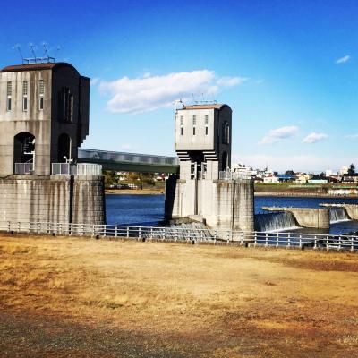 恋しくなる多摩川(⌒-⌒; )