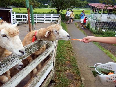 ０２．夏休み最後の熱海１泊　酪農王国 オラッチェ　丹那断層