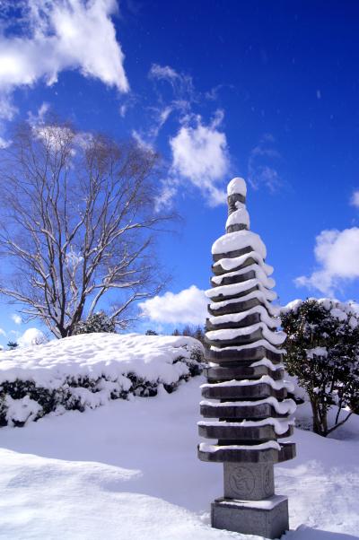 ◆福島空港公園　雪景色