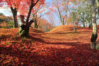 京都の御所と離宮(21) 散紅葉が美しい晩秋の仙洞御所へ