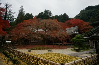 糸島ドライブ　美しい紅葉と雷山千如寺の観音様を求めて　
