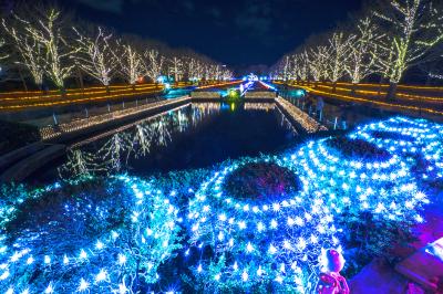 防寒対策は十分に！昭和記念公園の「Winter Vista Illumination」（2014年12月）