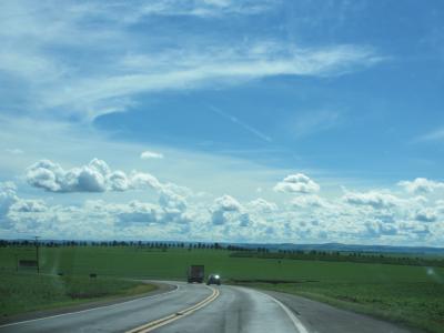サンパウロ州カンピーナスからパラナ州ウムアラマへの道中
