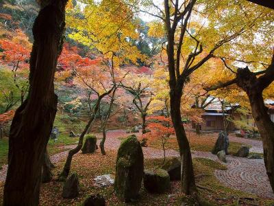 太宰府天満宮と秋の銘酒展　光明禅寺の美しい紅葉を楽しむ旅