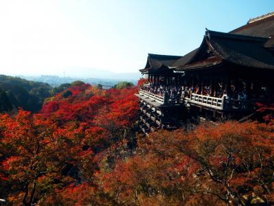 紅葉の京都へ