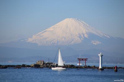 ♪富士は日本一の山♪　葉山の海岸から富士山を楽しむ