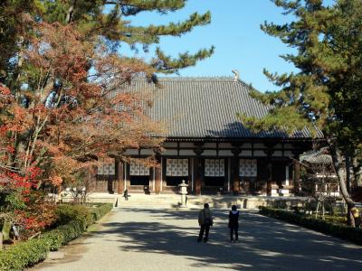 奈良　・　初冬の旅　　（西の京を歩く）