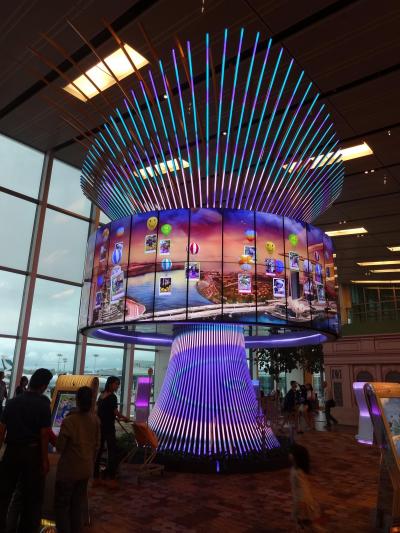 ☆やるっきゃない OKA-SIN☆ 2014年最後のJAL修行