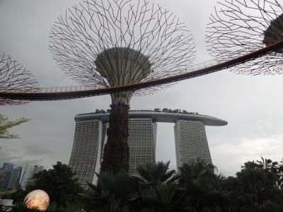 ☆やるっきゃない OKA-SIN☆ 2014年最後のJAL修行 ②