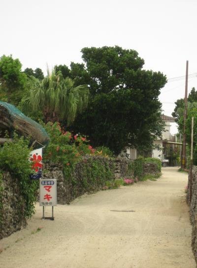 初の沖縄は西表島！しかも社員旅行で【2】