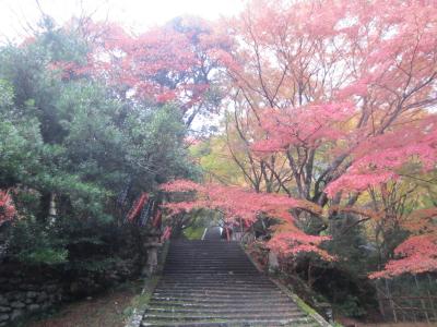 神在月(^人^)縁結大祭(^人^)平成の大遷宮　～５泊６日の旅 in 島根～５日目／その３＆６日目