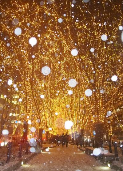 雨男・・・いや雪男のせいで・・・今夜は、光のページェントにも雪が降る・・・