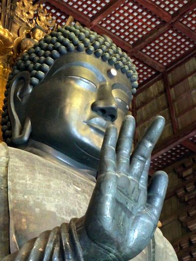 奈良　・　初冬の旅　　（興福寺から東大寺）