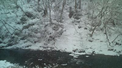 大沢温泉 山水閣