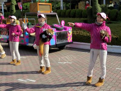 初冬のレッサーパンダ紀行【７】 南紀白浜アドベンチャーワールド Ｐａｒｔ２　午後の３連続イベントで大活躍の息子君・・・明るい君にはみんなを笑顔にする生き方が似合うのかもしれないね