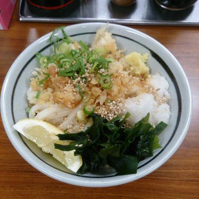 18切符を使って日帰り讃岐うどんツアーを決行してみた