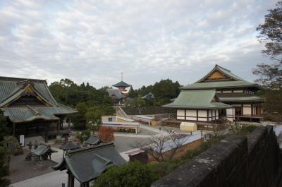 パリ滞在８泊１０日間の旅～１０日目～番外編成田山