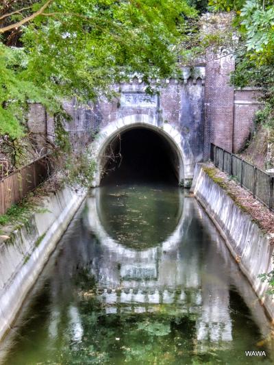 カメラをポケットに琵琶湖疎水を歩いてみました