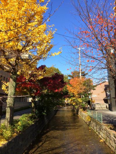 秋の京都、五条周辺