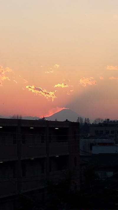 本日の富士山