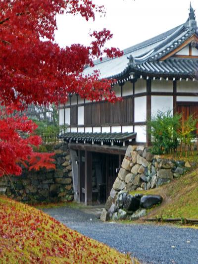 奈良・大和郡山　紅葉の郡山城址を散策