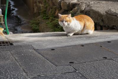 2014年は別府で始まり、別府で終わる(20年ぶり?)夫婦二人きりの旅 一日目