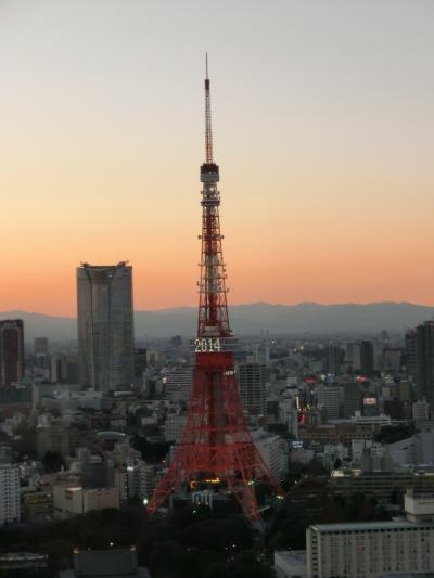 東京タワーと夜景