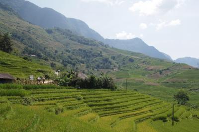 ■Sapa Treking tour