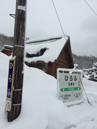 雪のニセコひらふ