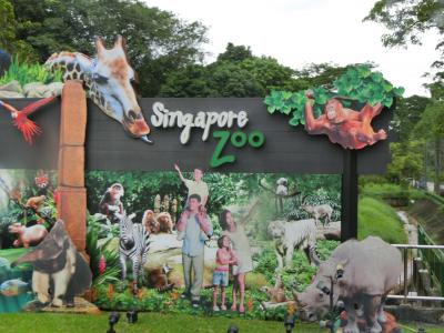 2014年末はシンガポールへ（3日目～帰国　シンガポール動物園）