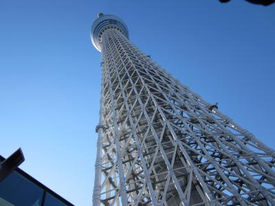 天王洲アイルとスカイツリー