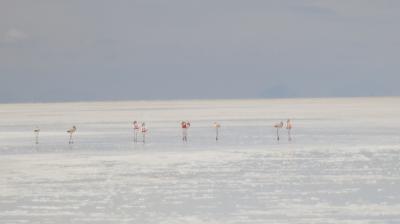 憧れのウユニ塩湖