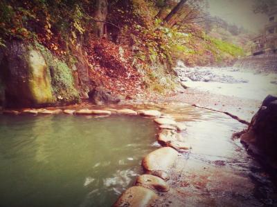 塩原/福渡温泉　露天風呂の旅　＋那須サファリパーク、那須どうぶつ王国