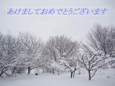 大雪の石川県　片山津温泉と食事を楽しみ　初めての雪かきを経験してきました