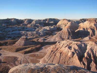 セドナとアリゾナ州ドライブ①　化石の森国立公園