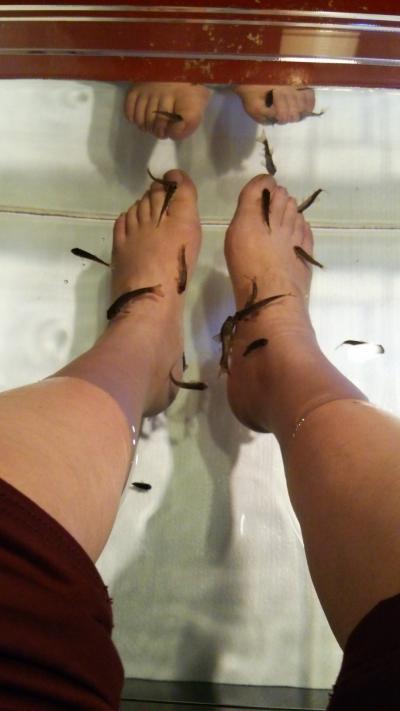 九州温泉旅行3日目